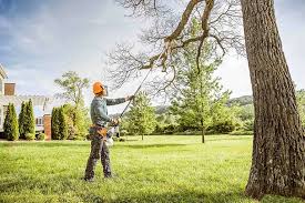 Best Tree Maintenance Programs  in Lexington Hills, CA